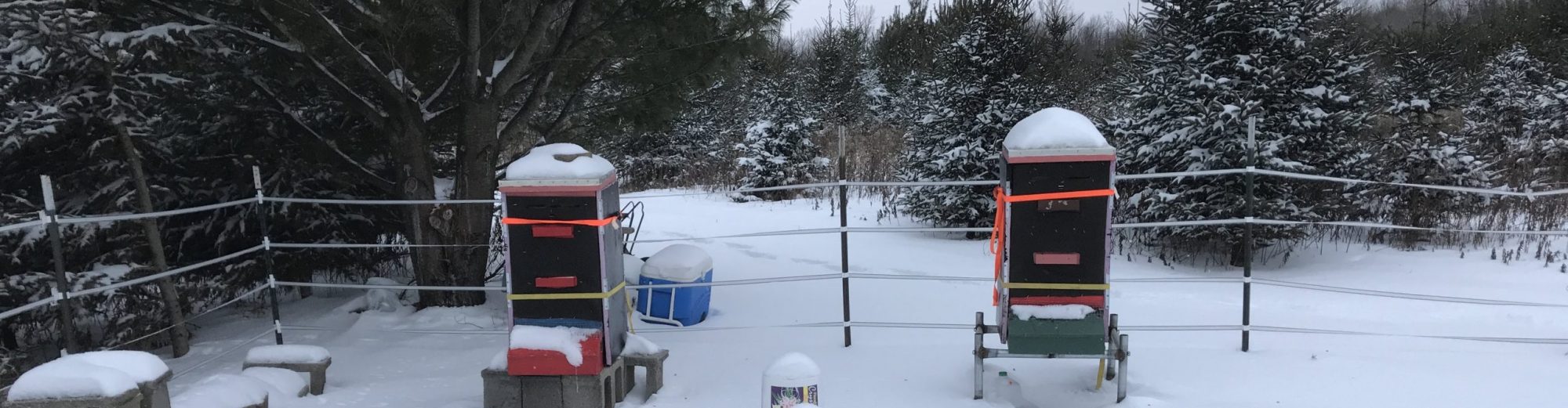 Brown County Beekeepers Association